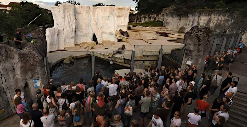 Beim KAer Nacht-Zoo können die Zoogäste kommentierte Fütterungen in einer ganz besonderen Sommerabend-Stimmung erleben. Archivfoto. Zoo KA. Timo Deible. Frei.
