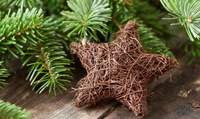 Das Forstamt Haardt mit Sitz in LD bietet auch dieses Jahr wieder Weihnachts-Reisig an. Dazu gibt es auch einen Stand mit Wildfleisch. 