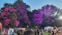 Illuminiert. Der Kurpark in BZA am gestrigen Abend zum Auftakt des Kurpark-Festes. Foto. rw.