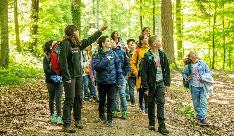Beim Kunstwettbewerb zu gewinnen gibt es Waldführungen für Schulklassen und KiTa-Gruppen. Foto. Landesforsten.RLP.de. Jonathan Fieber. Frei. 