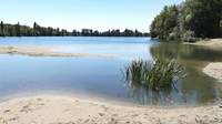 Der große Binsfeld-See zwischen SP und Otterstadt ist wieder fürs Baden freigegeben.