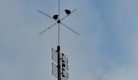Sie saßen und wippten und wippten. 2 Rabenvögel im Sprüheisregen über der Kurstadt und warteten geduldig das Ende ab. 
