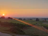 Die Morgensonne über der Südpfalz an der Weinstraße bei Oberotterbach. Foto. Arnim Hoffart. Frei.