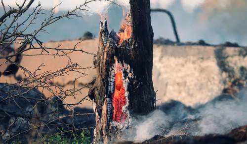 29.04.2026 - Waldbrandgefahr. Morgen höchste Warnstufe 5?