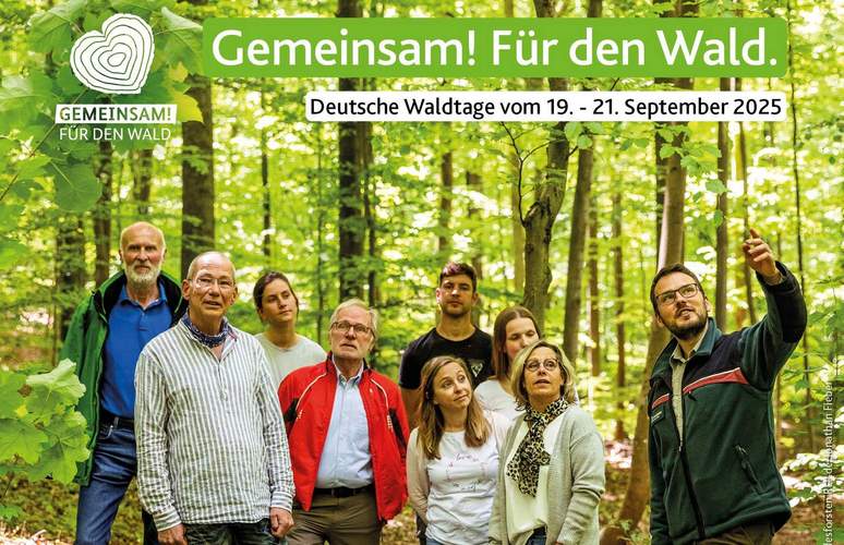 „Höret die Bäume" – auch das Forstamt Haardt lädt für Freitag, 19. September, zu einem Waldspaziergang ein. Foto Landesforsten.RLP.de. Jonathan Fieber. Pressefrei.