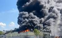 Die Halle eines Recycling-Unternehmens in Lustadt steht seit dem heutigen Montagmittag in Flammen. 