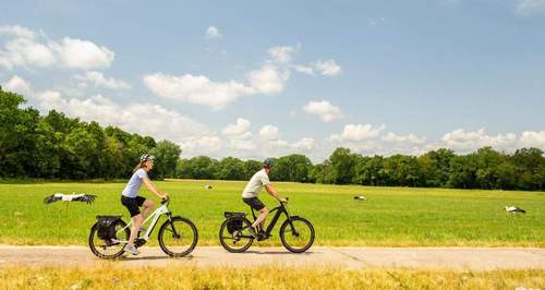 03.05.2026 - Geklapper. Storchen-Tour buchen.