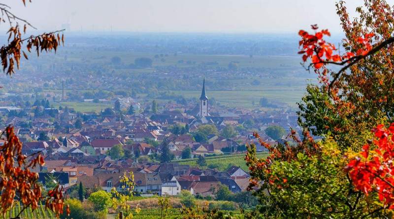 Großer deutsch-französischer Biosphären-Bauernmarkt am morgigen Sonntag in Maikammer.