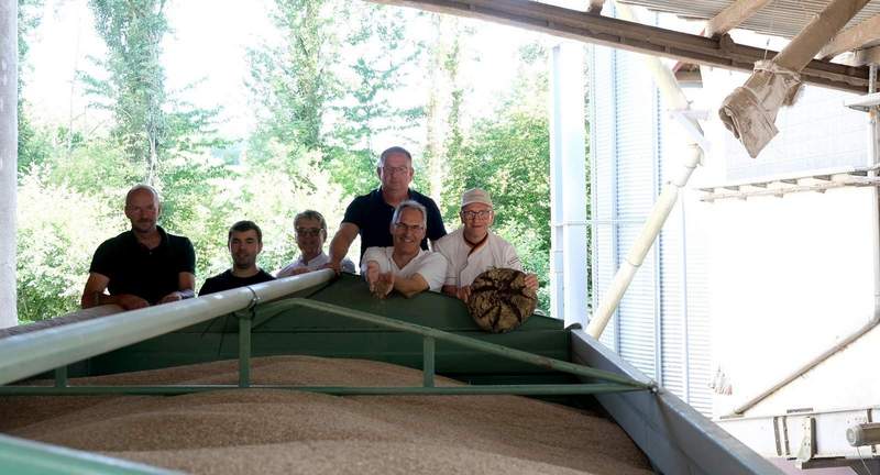 Stiegen auf den Anhänger, um die letzte Fuhre mit südpfälzischem Roggen in Augenschein zu nehmen. Von links. Dominik Bellaire, Johannes Frey, Volker Stephan, Thomas Knecht, Landrat Dietmar Seefeldt und Claus Becker in Appenhofen. Foto. KV. SÜW. Frei. 
