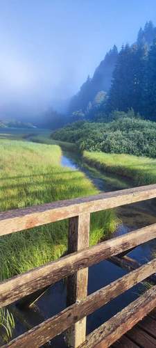 Sonne und Nebel an den Alpen. Foto. Getto. 