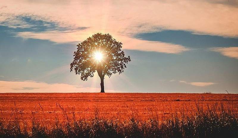 BZA war im März der wärmste Ort in Deutschland mit einer Durchschnittstemperatur von 8,8 Grad Celsius. Bei einer Sonnenscheindauer von 230 Stunden (+ 99 Stunden) und einer Niederschlagsmenge von 10,8 Litern pro Quadratmeter. Das langjährige Mittel liegt bei 60 Litern. Symbolfoto. Pixabay. Frei. 