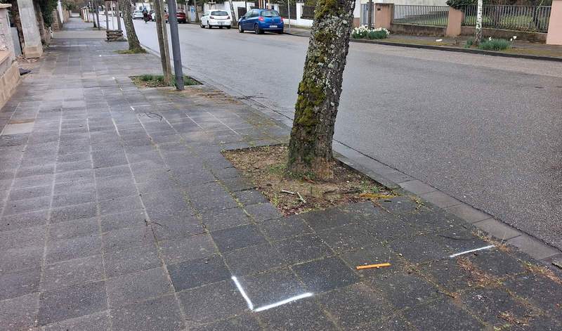 Mehr Platz für Straßenbäume. In der Eichbornstraße werden die Baumbeete vergrößert. Foto. Stadt LD.