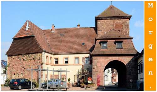 18.09.2025 - +++ MORGEN +++ Purzelmarkt in Billigheim +++