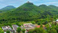 Das Trifels-Gymnasium in Annweiler soll nach dem Trägerwunsch, der Evangelischen Kirche der Pfalz, an die öffentliche Hand übergehen. Klappt das bis 2028 nicht, wird geschlossen. 