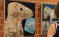 Eine Besucherin der Vernissage betrachtet sich die Werke. Foto. KV. SÜW. Frei.