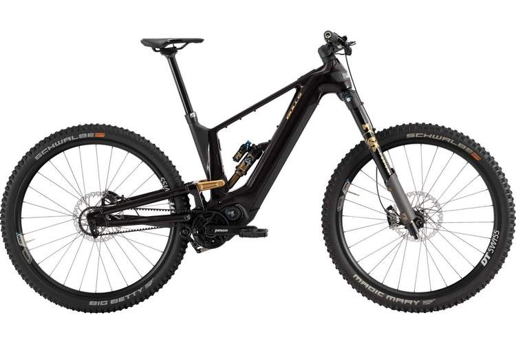 Kaltschnäuzig stiehlt ein Unbekannter am helllichten Tag ein hochwertiges Mountain-Bike aus einem Fahrrad-Laden in PS. 