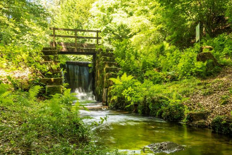 Das Wehr staut das Wasser. Wird es geöffnet rauschen die Baumstämme durch die Wasserkraft den Bach hinab. 