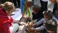 Nicht sehen aber fühlen, tasten, riechen, spüren und hören. Tiere im Zoo. Führungen für Sehbehinderte in der Zooschule LD. Foto. Zooschule. Frei.