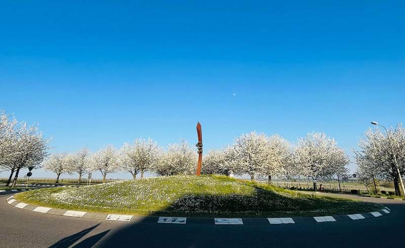 Hoffentlich werden die Jungbäume gut angehen und so einen Blütenzauber wie aktuell auf diesem Foto am Weintor-Süd-Kreisel (von Weißenburg kommend) sorgen. Foto. Dieter Geißer. 