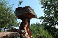 Der Teufelstisch im Pfälzer Wald. Einer von vielen Anziehungspunkten für Touristen in RLP.