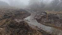 Auf einer Länge von 400 Metern wird das Ufer des Kaltenbaches bei Kleinfischlingen renaturiert. Foto. VG. Edenkoben Frei.
