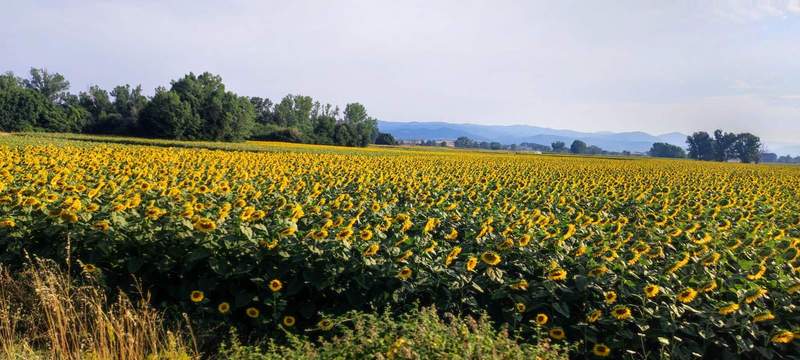 Impression vom Rückweg gen Griechenland/Bulgarien. Foto. Getto.