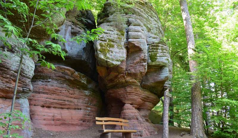 Einblick auf den 13,6 Kilometer langen Felsenwald-Weg bei PS. 