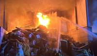 Brand auf einem Mülllager-Platz in Edenkoben.
