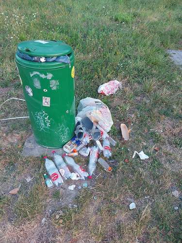 Wenn der Blick von oben nach unten schweift, sieht es dann so aus auf P-Platz an der B 38 bei Oberotterbach. Foto. Arnim Hoffart. Frei.