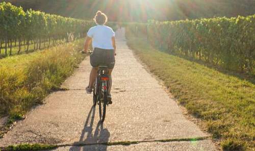 18.10.2026 - Radwege-Konzept. 500 Maßnahmen. Für 700 Kilometer. 