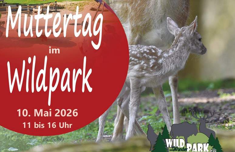 Die jungen Ziegen machen den kleinen und großen Gästen Freude. Foto. KV. SÜW. Frei. 