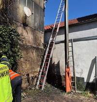 Vielleicht haben in den Abfall geworfene, nicht erloschene Grillkohlereste für den Brand in Kandel gesorgt.