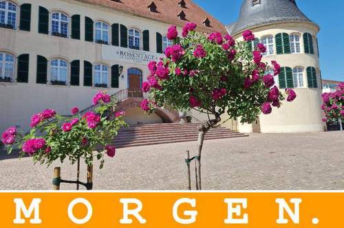 29.05.2026 - +++ MORGEN +++ Rosenmarkt. Im Schlosshof. Eröffnung +++