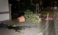 Neun große Blumenkübel haben Vandalen in St. Martin umgeworfen. 