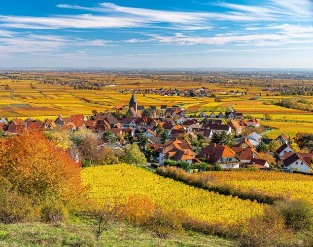 Blick auf Burrweiler (Kreis SÜW).