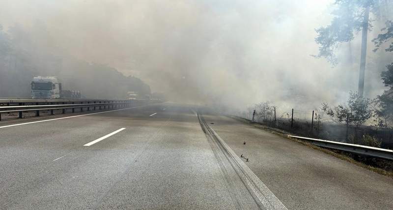 Seit dem heutigen Donnerstagvormittag brennt der Wald an der A 61 zwischen SP und Schifferstadt auf einer Fläche von rund 50.000 Quadratmetern.