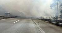 Feuer aus. Am Donnerstagabend hatten es die 150 Feuerwehrleute geschafft, den rund 50 Hektar großen Waldbrand an der A 61 bei Schifferstadt zu löschen. 