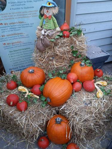 Herbstfest im Zoo LD. Am 24. Oktober. Foto. Zooschule LD. Pressefrei.