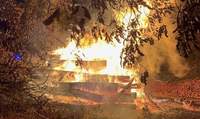 In Brand gesetzt. Rund 30 gelagerte Baumstämme bei Kirrweiler.
