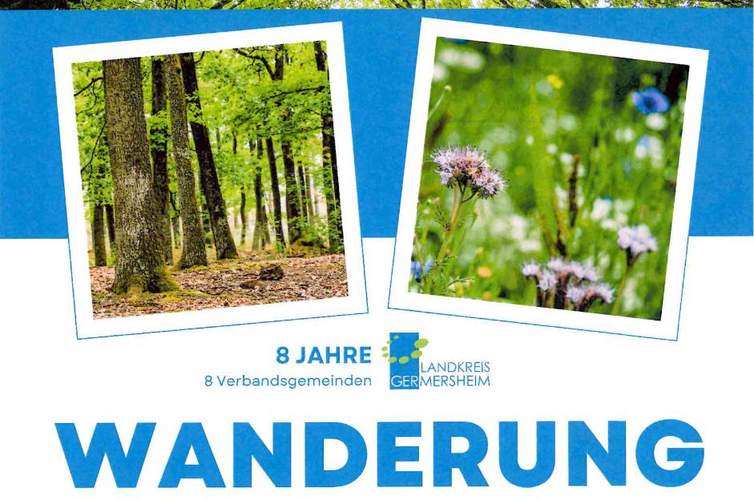 Der Wald. Als Oase der Ruhe erfahren. Anmelden. Wandern mit Landrat Brandl. Foto. KV. GER. Frei. 