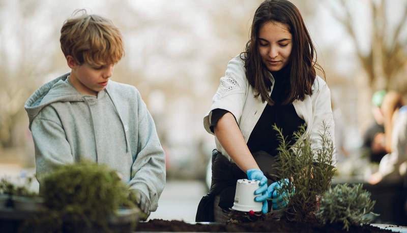 Aus Grau wird Grün. LDer Schüler bepflanzen Zufahrtsschutzelemente in der LDer Innenstadt. Foto. Stadt. LD. Frei. 