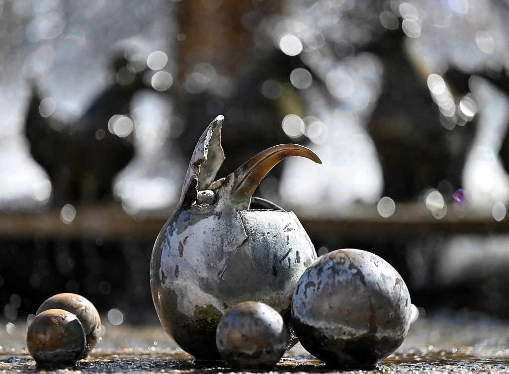 18.09.2023. ElwetritscheKalender. Der Lions. suewpress