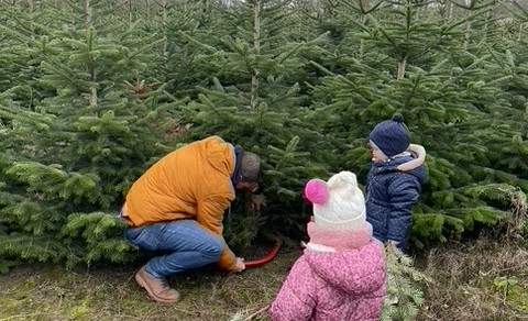Papa ist der Beste. Christbäume zum Selbstschlagen bei Dierbach ... Foto. Straßer