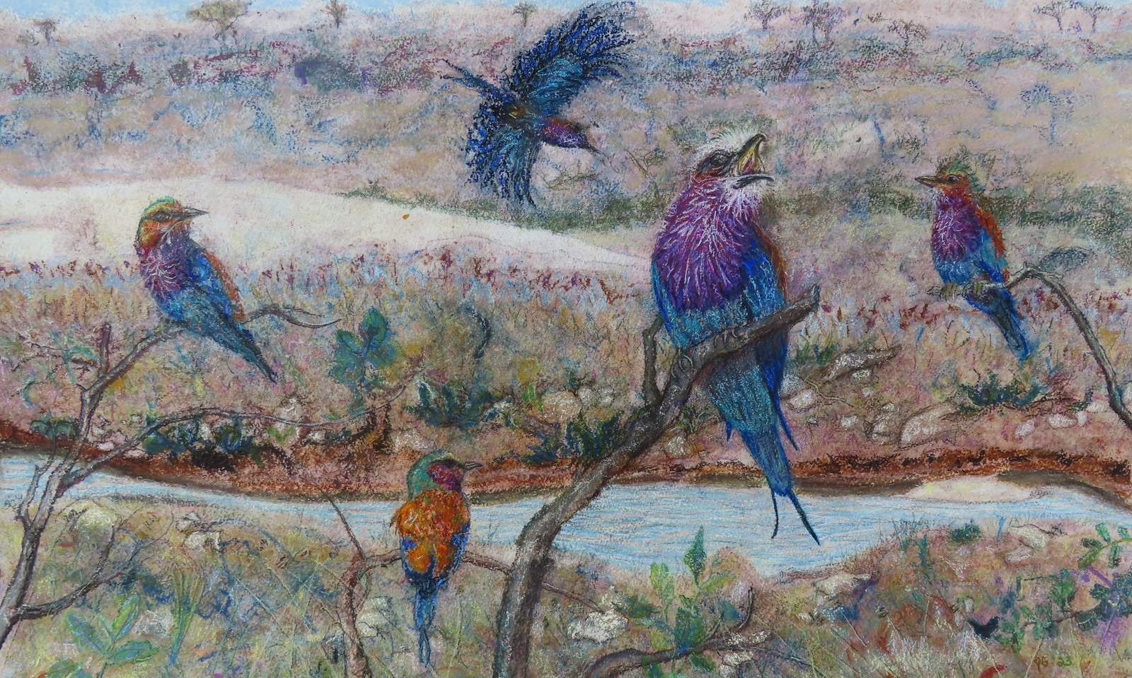„Birds of South Africa Lilac Breasted Roller Best". Foto. Jacklyn Gratzfeld. Pressefrei. 