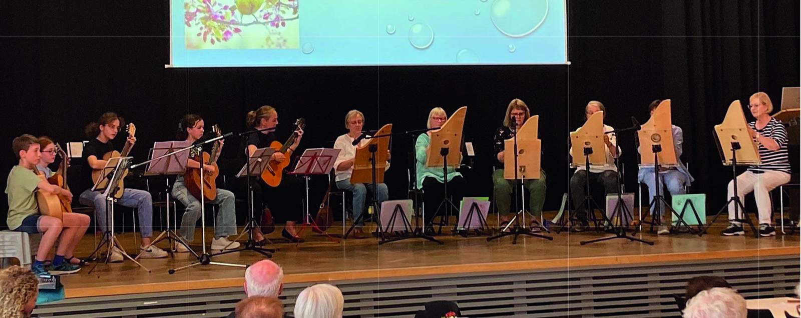 Bei einem früheren Konzert des Zupforchesters. Archivfoto. Gütermann-Cichorowski. Frei.