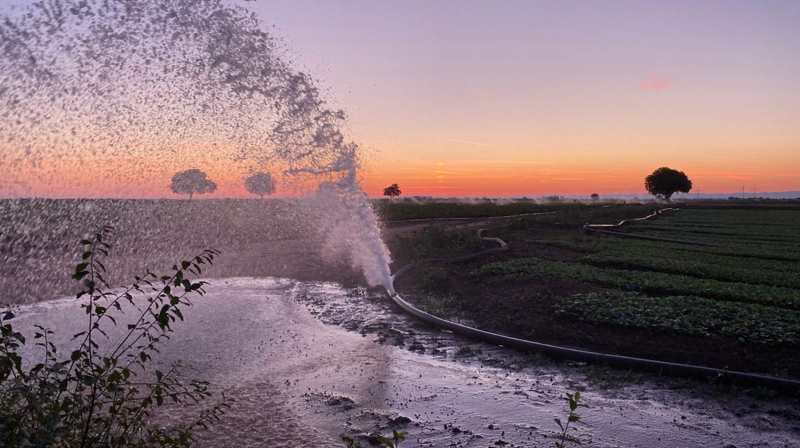 Ein geplatzter Schlauch eines Felderberegnungs-System setzte die A 65 unter Wasser.