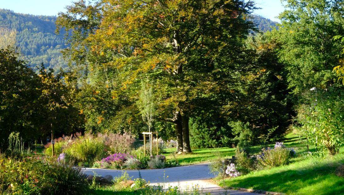 In der Markward-Anlage in Annweiler werden unterirdisch Tanks installiert um Regenwasser aufzufangen, das bei der Bewässerung des Parks helfen soll. 