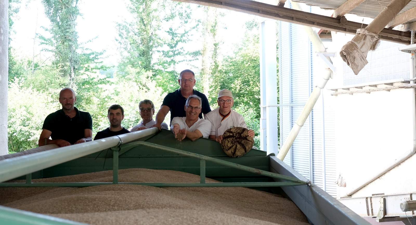 Stiegen auf den Anhänger, um die letzte Fuhre mit südpfälzischem Roggen in Augenschein zu nehmen. Von links. Dominik Bellaire, Johannes Frey, Volker Stephan, Thomas Knecht, Landrat Dietmar Seefeldt und Claus Becker in Appenhofen. Foto. KV. SÜW. Frei. 