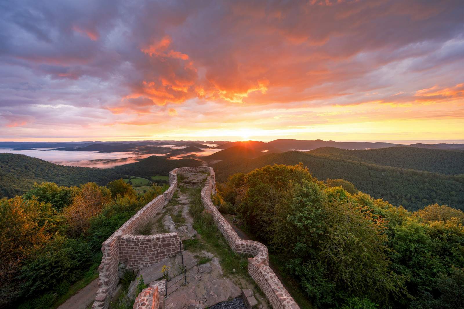 Morgenstimmung hoch oben auf der Wegelnburg.