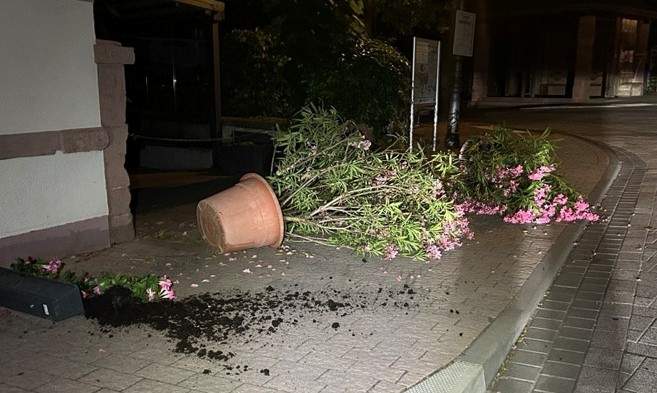 Neun große Blumenkübel haben Vandalen in St. Martin umgeworfen. 